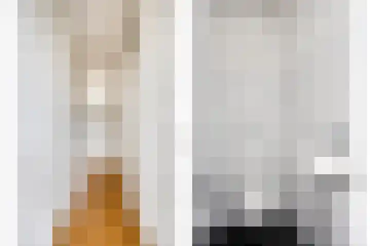 Bosplaat 46 Zwolle thumbnail 8