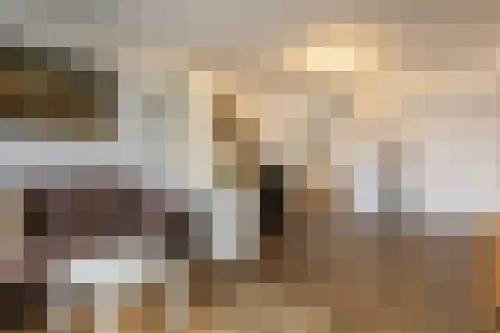 Bosplaat 47 Zwolle thumbnail 12