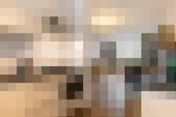 Bosplaat 47 Zwolle thumbnail 17