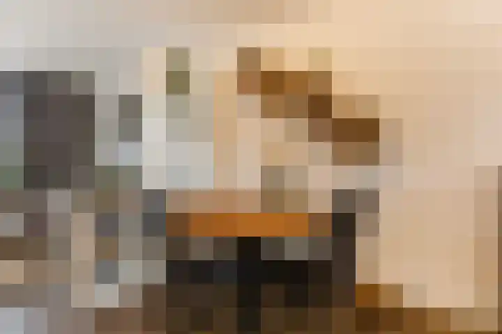 Bosplaat 47 Zwolle thumbnail 18