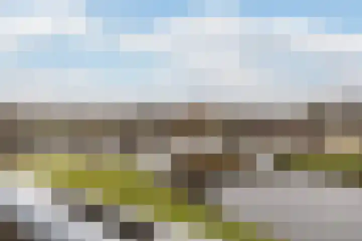 Bosplaat 47 Zwolle thumbnail 24