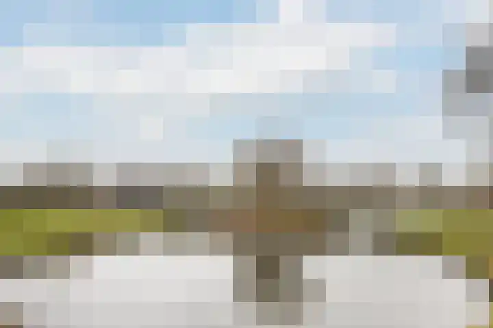 Bosplaat 47 Zwolle thumbnail 25