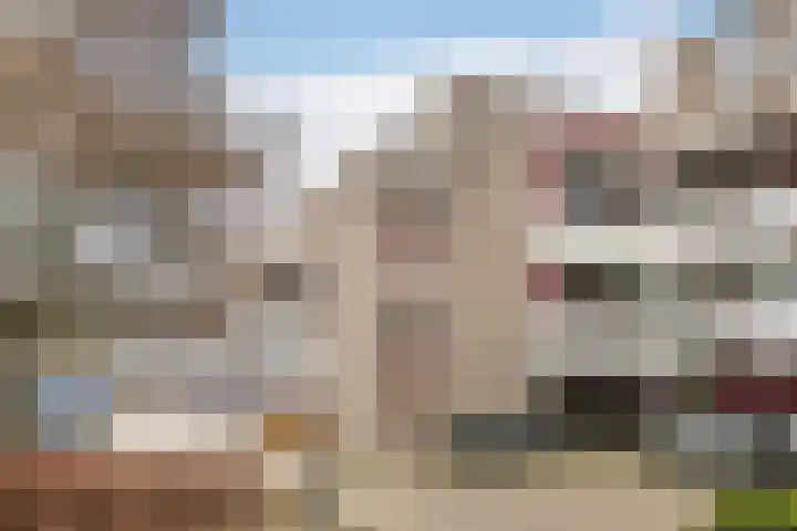 Bosplaat 47 Zwolle thumbnail 27