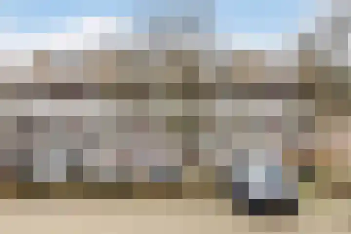 Bosplaat 47 Zwolle thumbnail 28