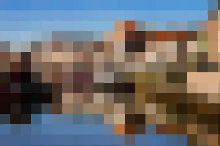 Bosplaat 47 Zwolle thumbnail 30