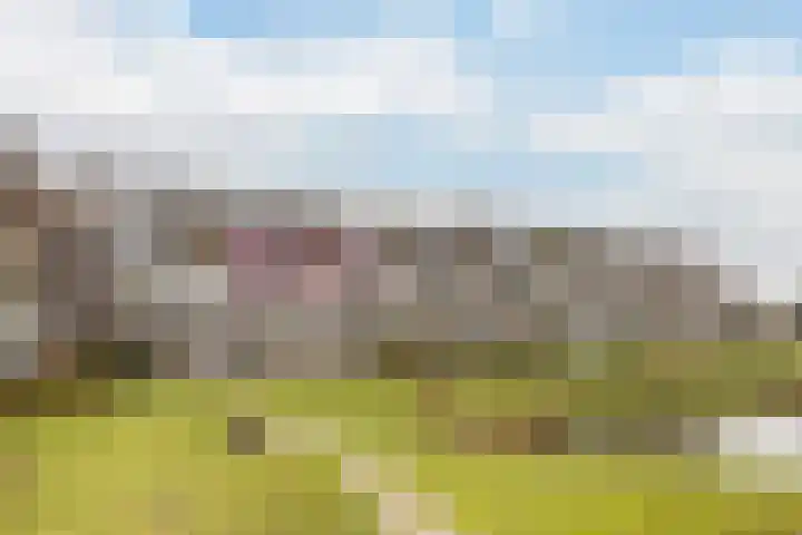 Bosplaat 47 Zwolle thumbnail 5