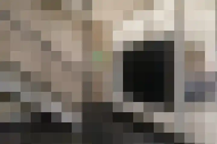 Bosplaat 47 Zwolle thumbnail 9