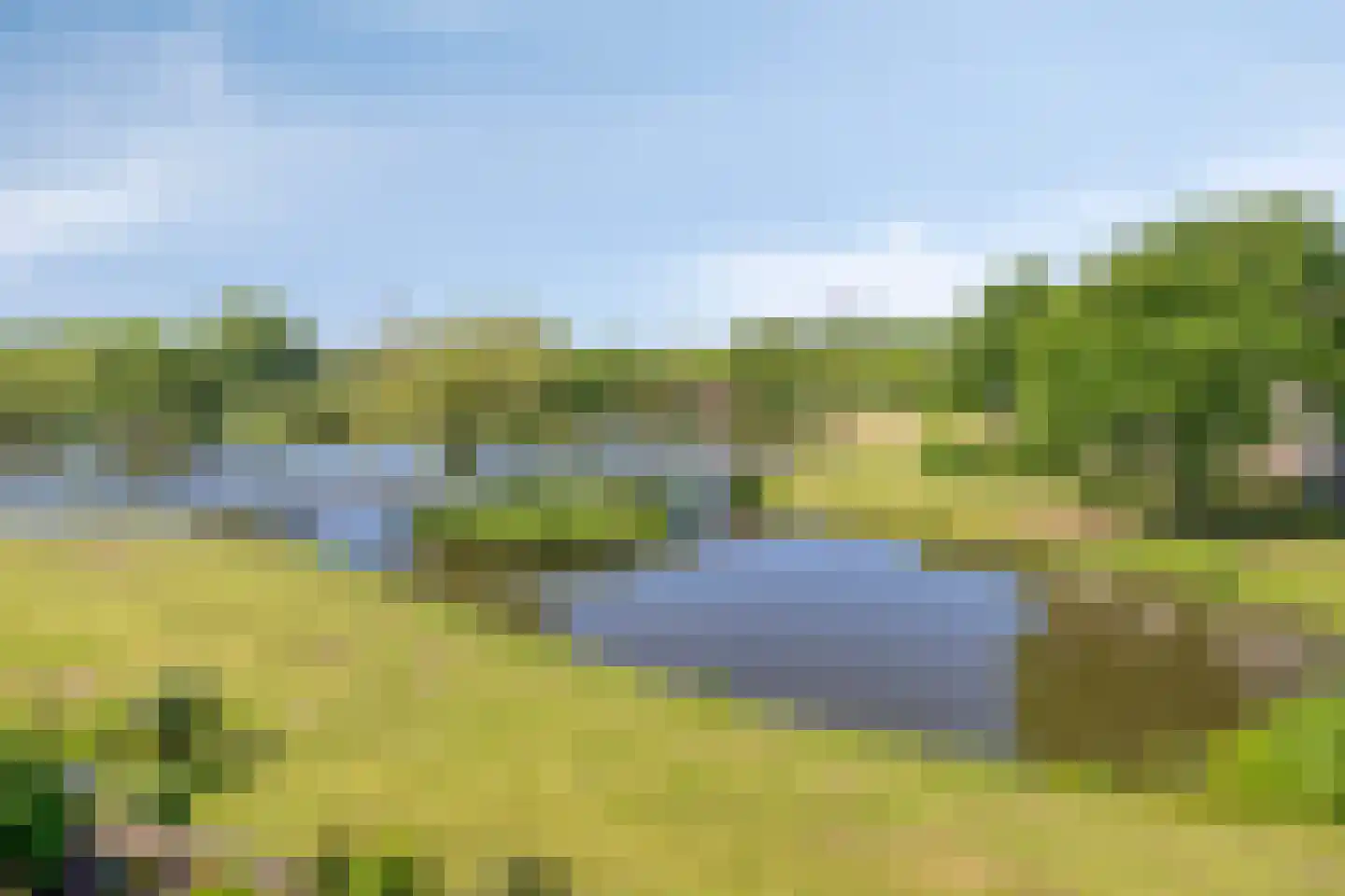 Bosplaat 49 Zwolle thumbnail 23