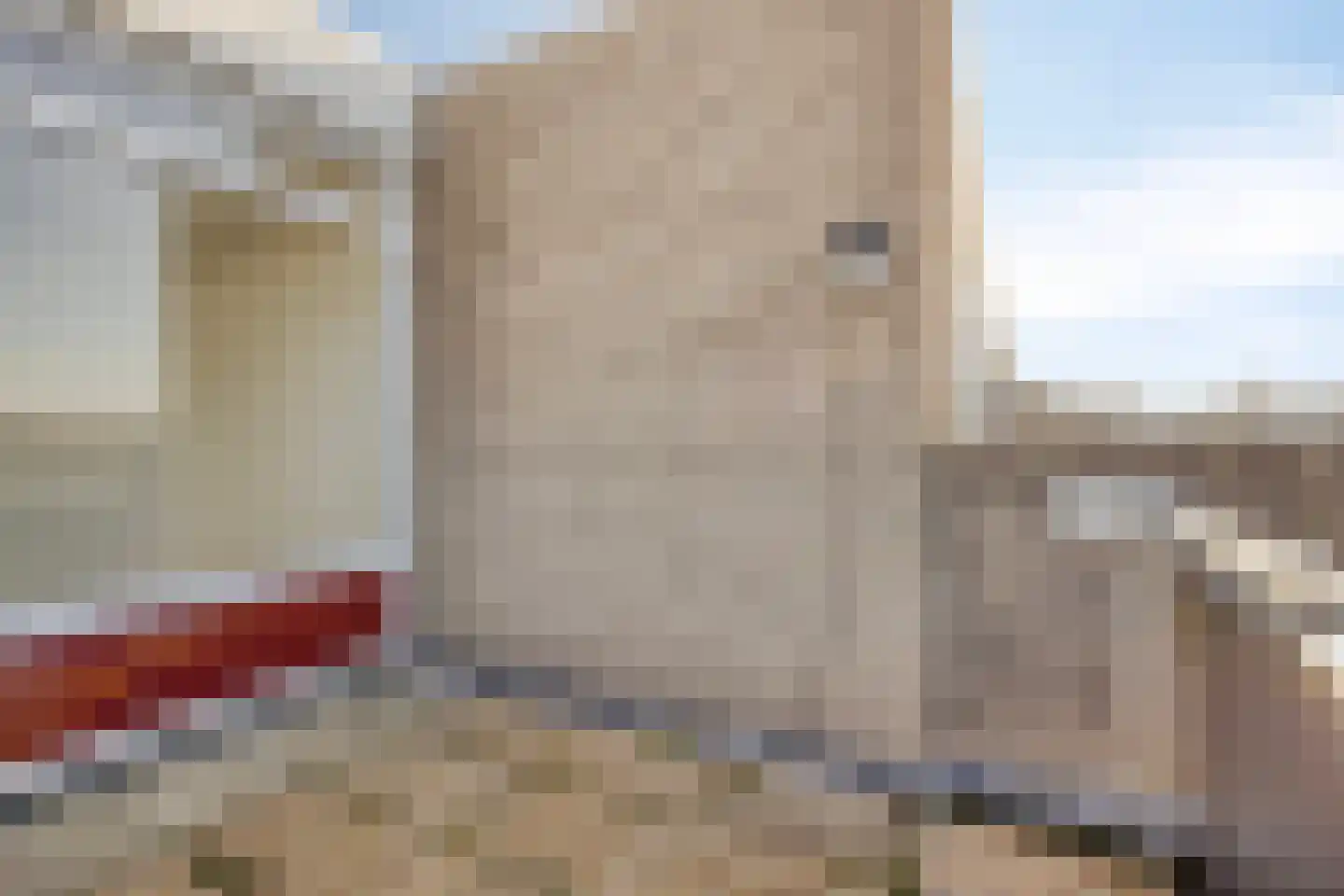 Bosplaat 52 Zwolle thumbnail 22