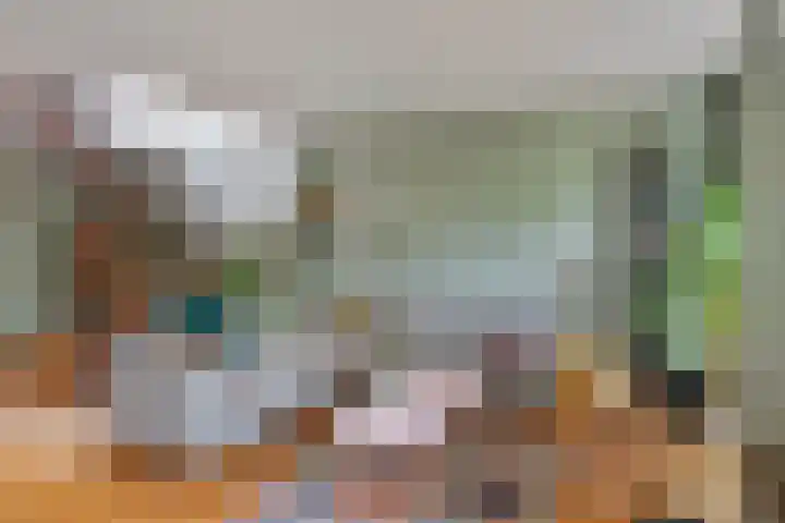 Bosplaat 57 Amsterdam thumbnail 10