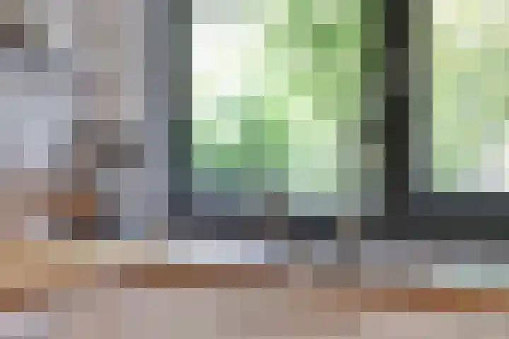 Bosplaat 57 Amsterdam thumbnail 16