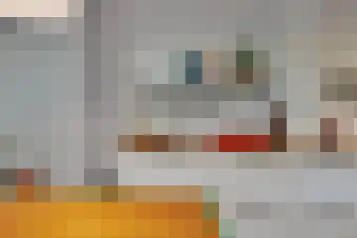 Bosplaat 57 Amsterdam thumbnail 17