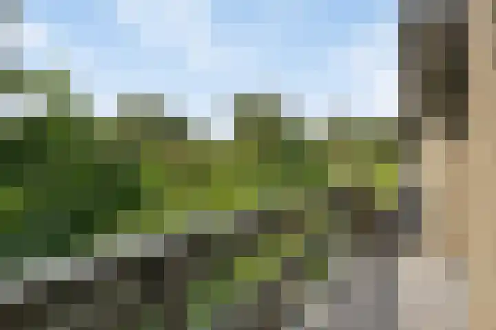 Bosplaat 57 Amsterdam thumbnail 21