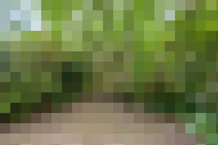 Bosplaat 57 Amsterdam thumbnail 32