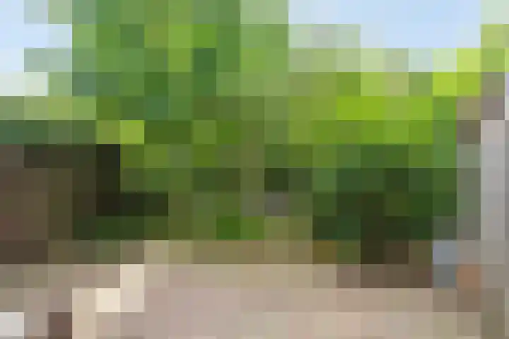 Bosplaat 57 Amsterdam thumbnail 33