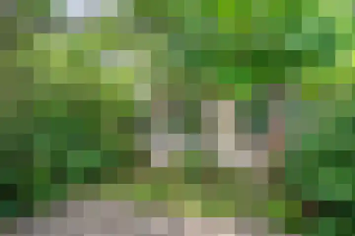 Bosplaat 57 Amsterdam thumbnail 35