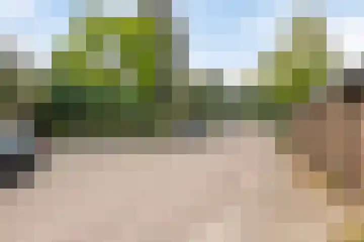Bosplaat 57 Amsterdam thumbnail 38