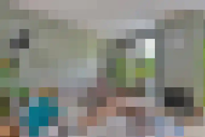 Bosplaat 57 Amsterdam thumbnail 4