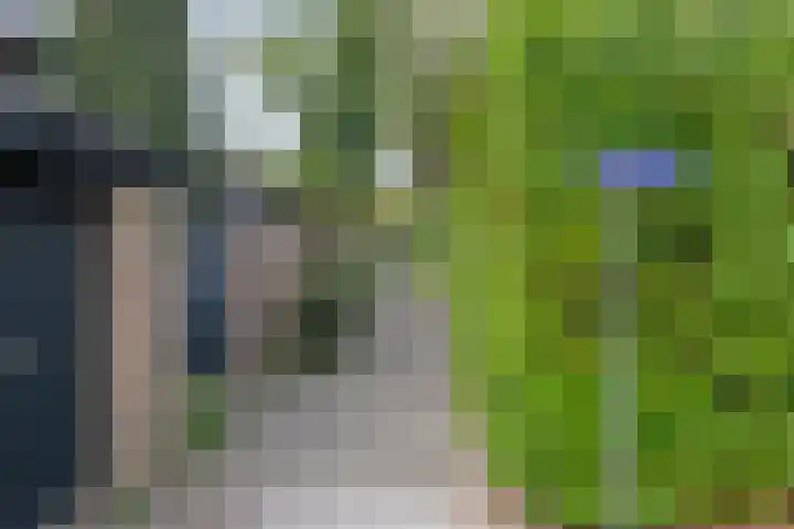 Bosplaat 57 Amsterdam thumbnail 40
