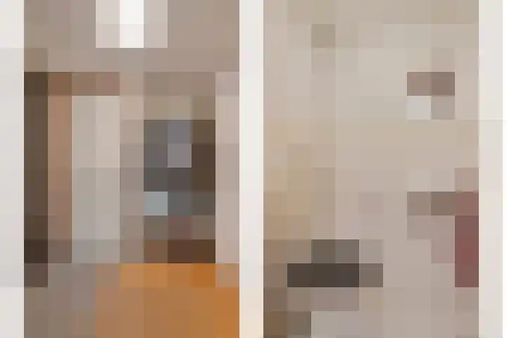 Bosplaat 57 Amsterdam thumbnail 41