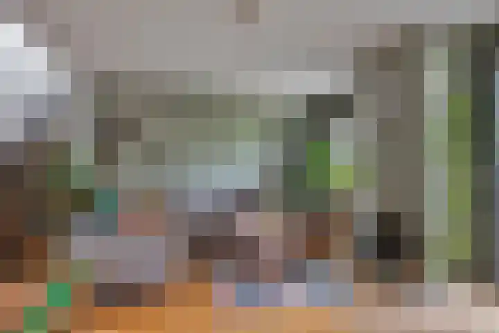 Bosplaat 57 Amsterdam thumbnail 5
