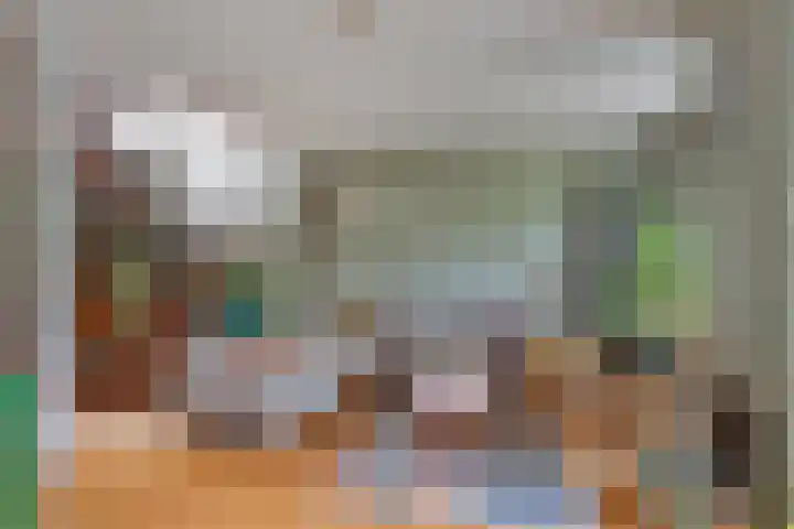 Bosplaat 57 Amsterdam thumbnail 8