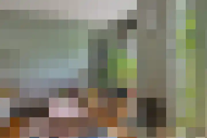 Bosplaat 57 Amsterdam thumbnail 9