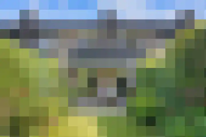 Bosplaat 65 Amsterdam thumbnail 17
