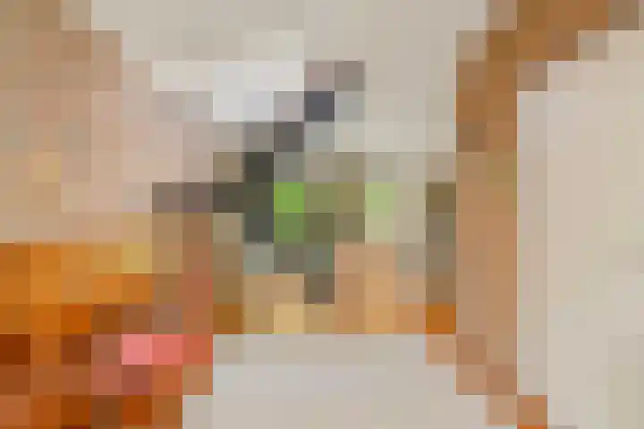 Bosplaat 65 Amsterdam thumbnail 20