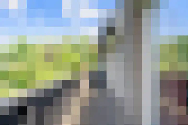Bosplaat 65 Amsterdam thumbnail 28