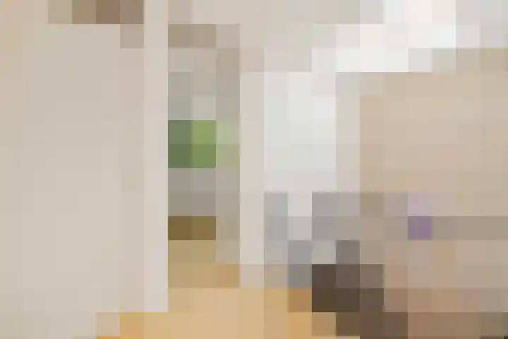 Bosplaat 65 Amsterdam thumbnail 35