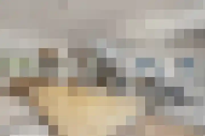 Bosplaat 65 Amsterdam thumbnail 4