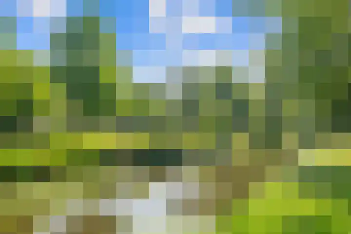 Bosplaat 65 Amsterdam thumbnail 43