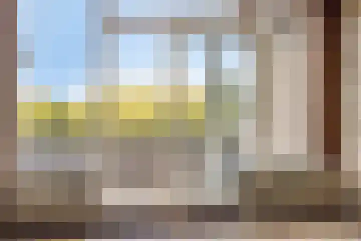 Bosplaat 65 Zwolle thumbnail 17