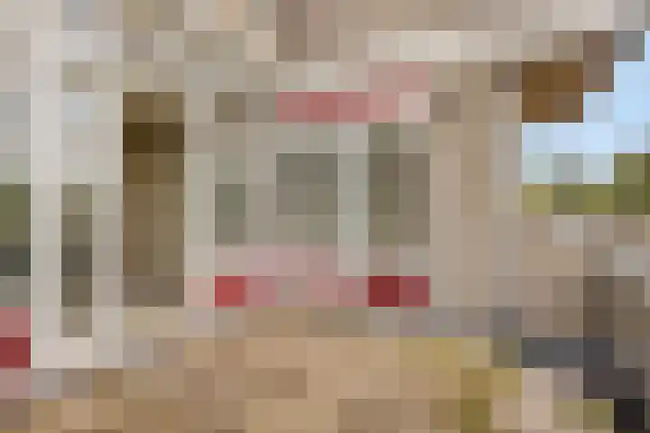 Bosplaat 65 Zwolle thumbnail 18