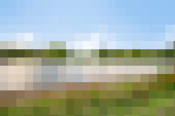 Bosplaat 65 Zwolle thumbnail 20