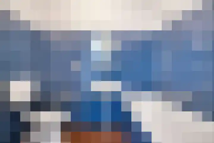 Bosplaat 65 Zwolle thumbnail 22