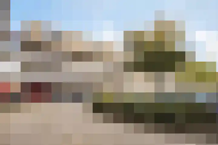 Bosplaat 65 Zwolle thumbnail 27