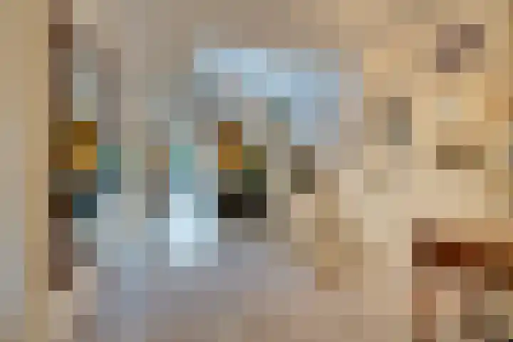 Bosplaat 71 Amsterdam thumbnail 11