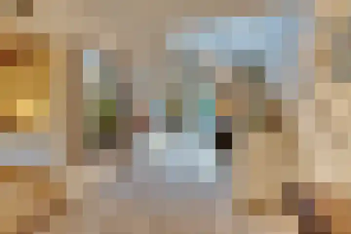 Bosplaat 71 Amsterdam thumbnail 12