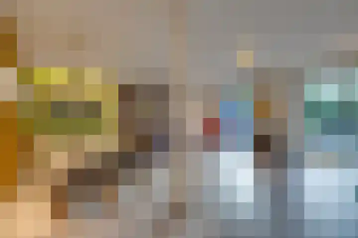 Bosplaat 71 Amsterdam thumbnail 13