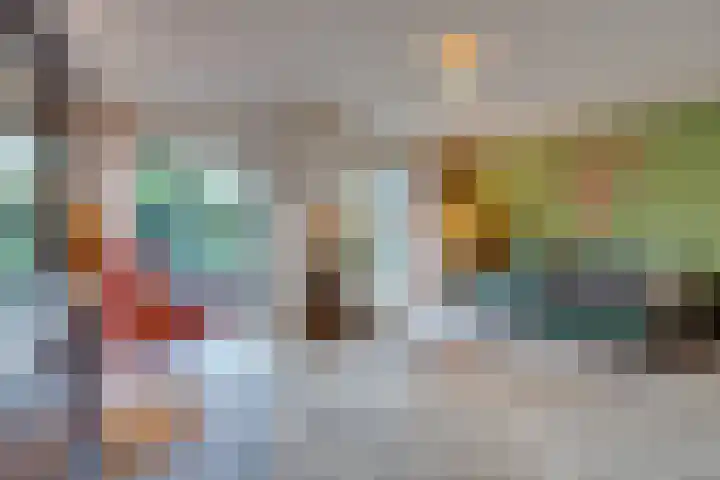 Bosplaat 71 Amsterdam thumbnail 15