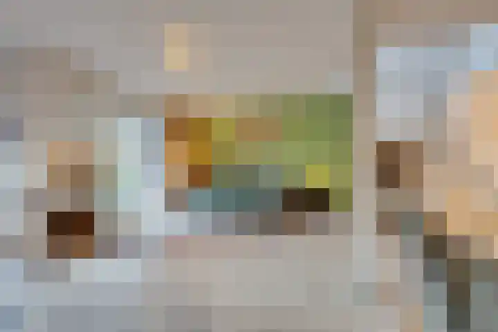 Bosplaat 71 Amsterdam thumbnail 16