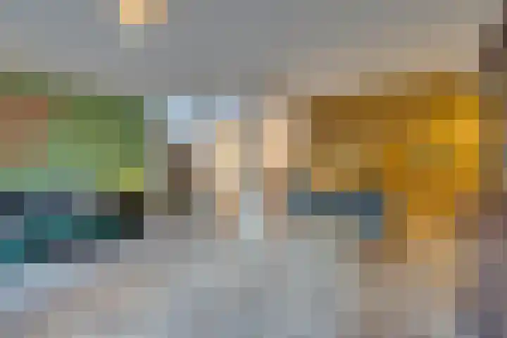 Bosplaat 71 Amsterdam thumbnail 18