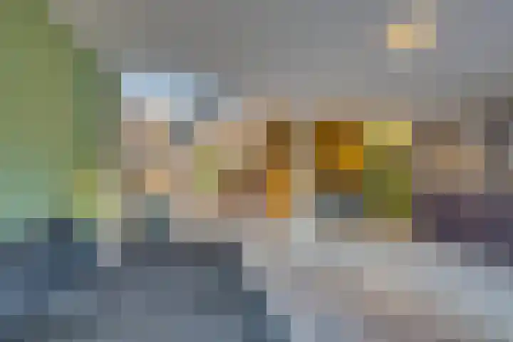 Bosplaat 71 Amsterdam thumbnail 20