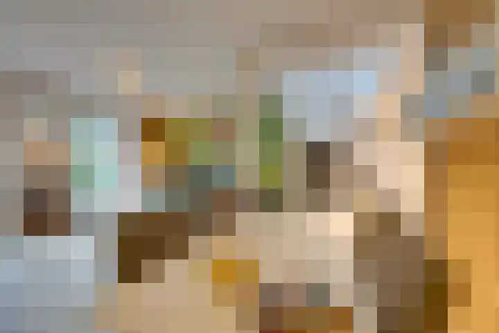 Bosplaat 71 Amsterdam thumbnail 22