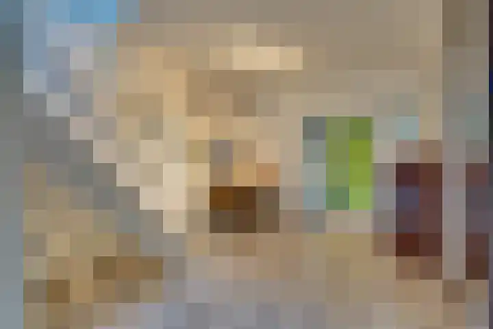 Bosplaat 71 Amsterdam thumbnail 24