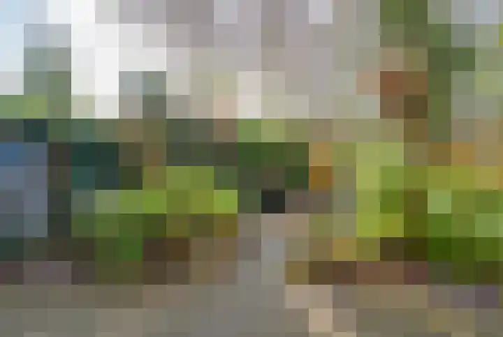 Bosplaat 71 Amsterdam thumbnail 31