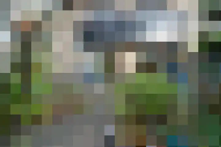 Bosplaat 71 Amsterdam thumbnail 35