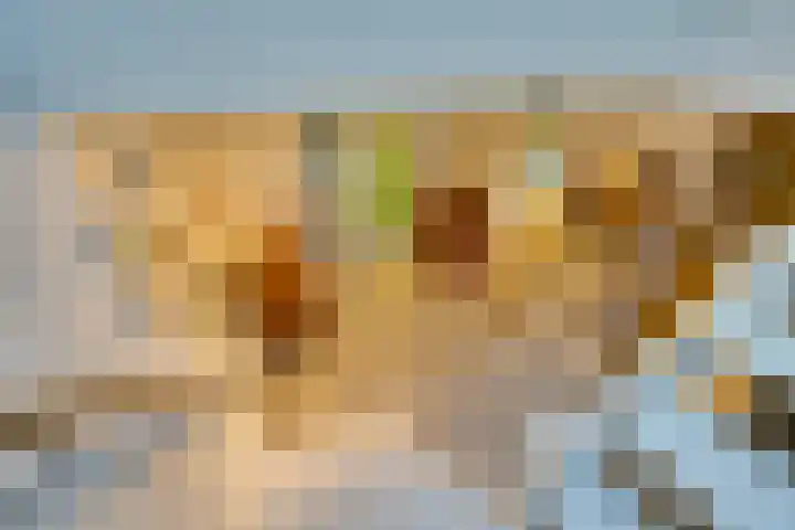 Bosplaat 71 Amsterdam thumbnail 38